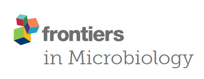 Cover of Frontiers in Microbiology, featuring study using the protocol.