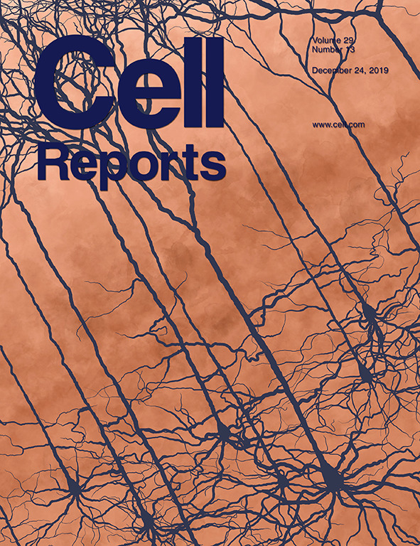 Cover of Cell Reports, featuring study using the protocol.