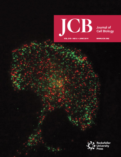 Cover of The Journal of Cell Biology, featuring study using the protocol.
