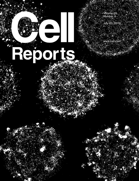 Cover of Cell Reports, featuring study using the protocol.