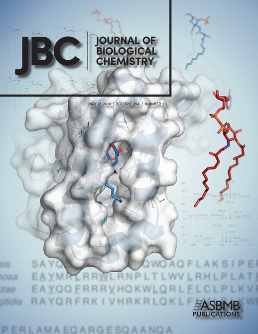Cover of The Journal of Biological Chemistry, featuring study using the protocol.