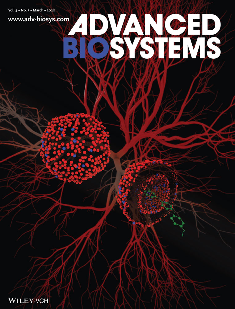 Cover of Advanced Biosystems, featuring study using the protocol.