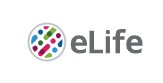 Cover of eLIFE, featuring study using the protocol.