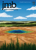 Cover of Journal of Molecular Biology, featuring study using the protocol.