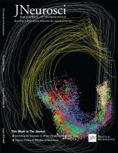 Cover of The Journal of Neuroscience, featuring study using the protocol.