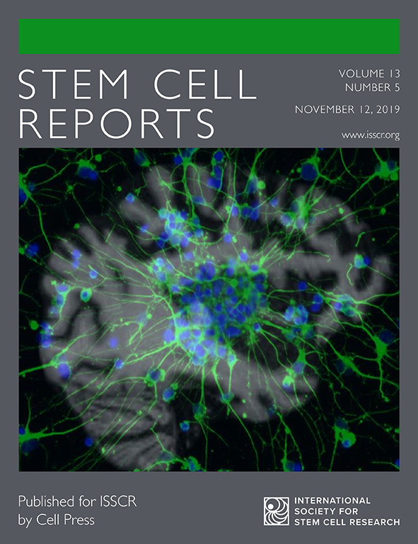 Cover of Stem Cell Reports, featuring study using the protocol.