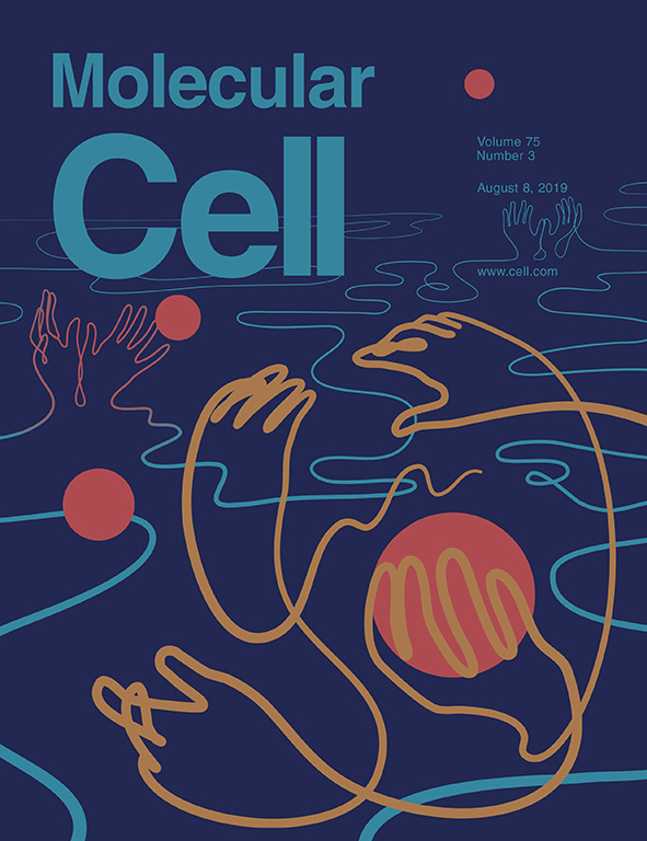 Cover of Molecular Cell, featuring study using the protocol.