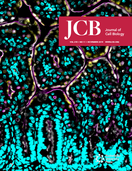 Cover of The Journal of Cell Biology, featuring study using the protocol.