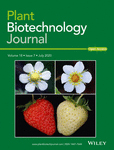 Cover of Plant Biotechnology Journal, featuring study using the protocol.