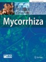 Cover of Mycorrhiza, featuring study using the protocol.