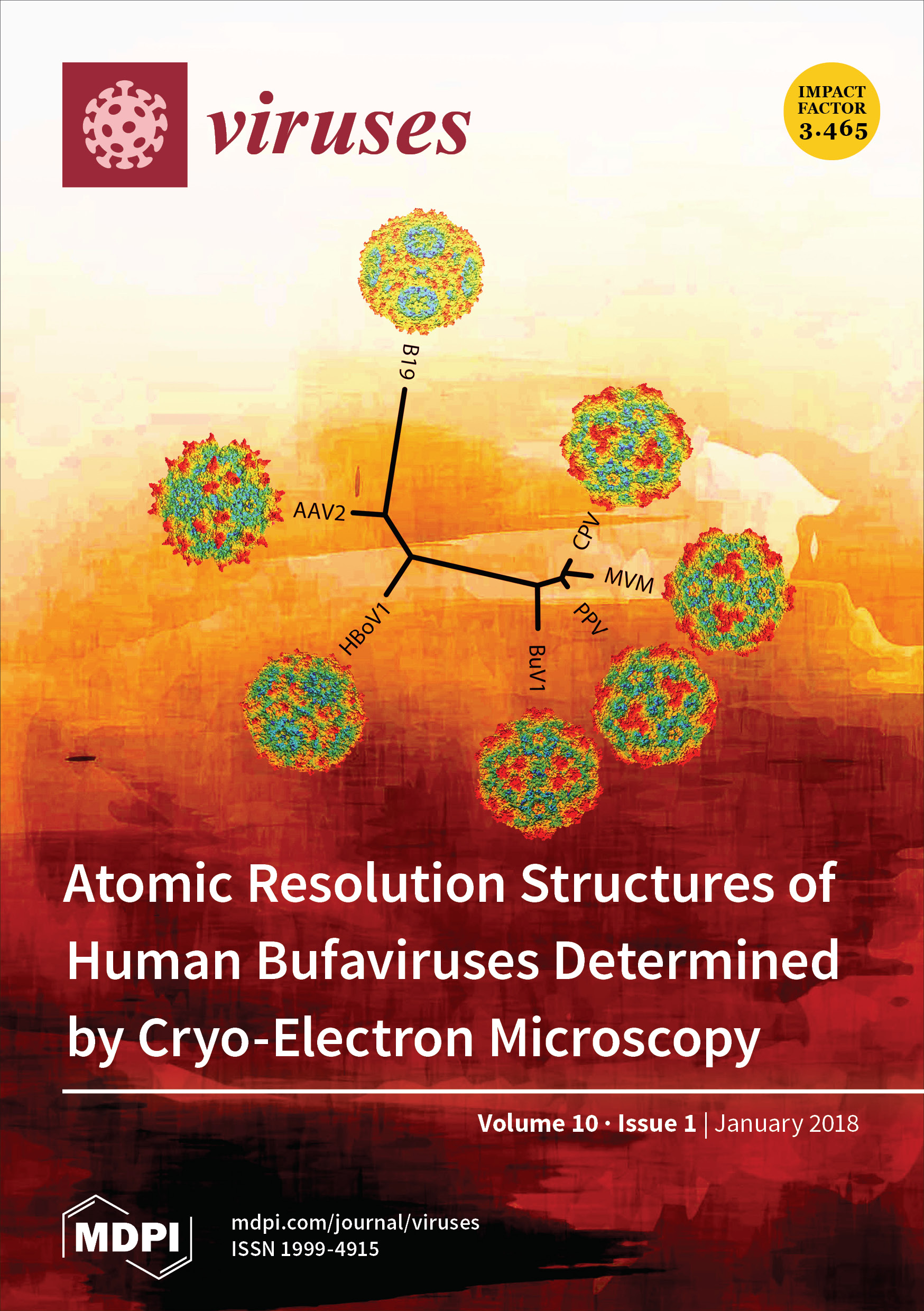 Cover of Viruses, featuring study using the protocol.
