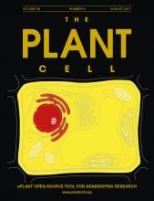 Cover of The Plant Cell, featuring study using the protocol.