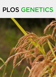 Cover of PLOS Genetics, featuring study using the protocol.