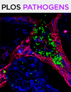 Cover of PLOS Pathogens, featuring study using the protocol.