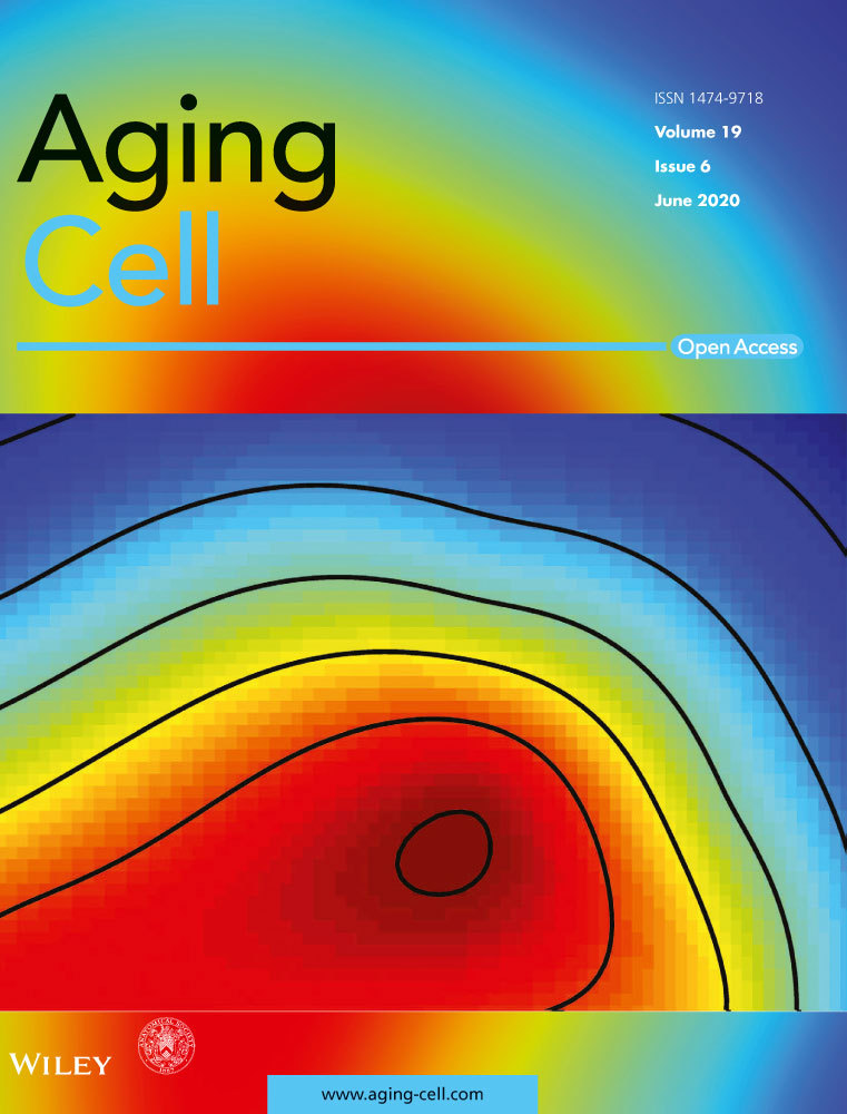 Cover of Aging Cell, featuring study using the protocol.