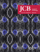 Cover of The Journal of Cell Biology, featuring study using the protocol.