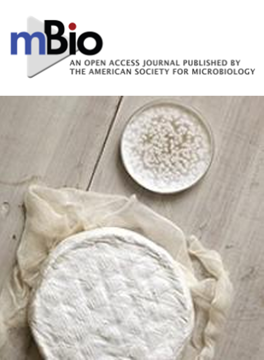 Cover of mBio, featuring study using the protocol.