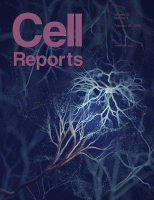 Cover of Cell Reports, featuring study using the protocol.