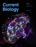 Cover of Current Biology, featuring study using the protocol.