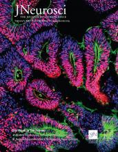Cover of The Journal of Neuroscience, featuring study using the protocol.