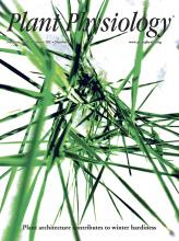 Cover of Plant Physiology, featuring study using the protocol.