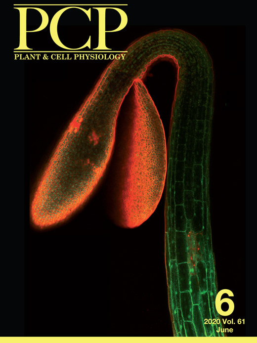 Cover of Plant & Cell Physiology, featuring study using the protocol.