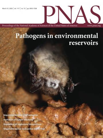 Cover of Proceedings of the National Academy of Sciences of the United States of America, featuring study using the protocol.