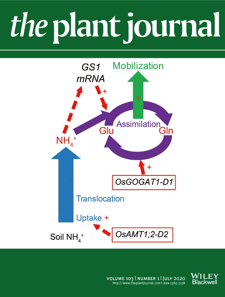 Cover of The Plant Journal, featuring study using the protocol.