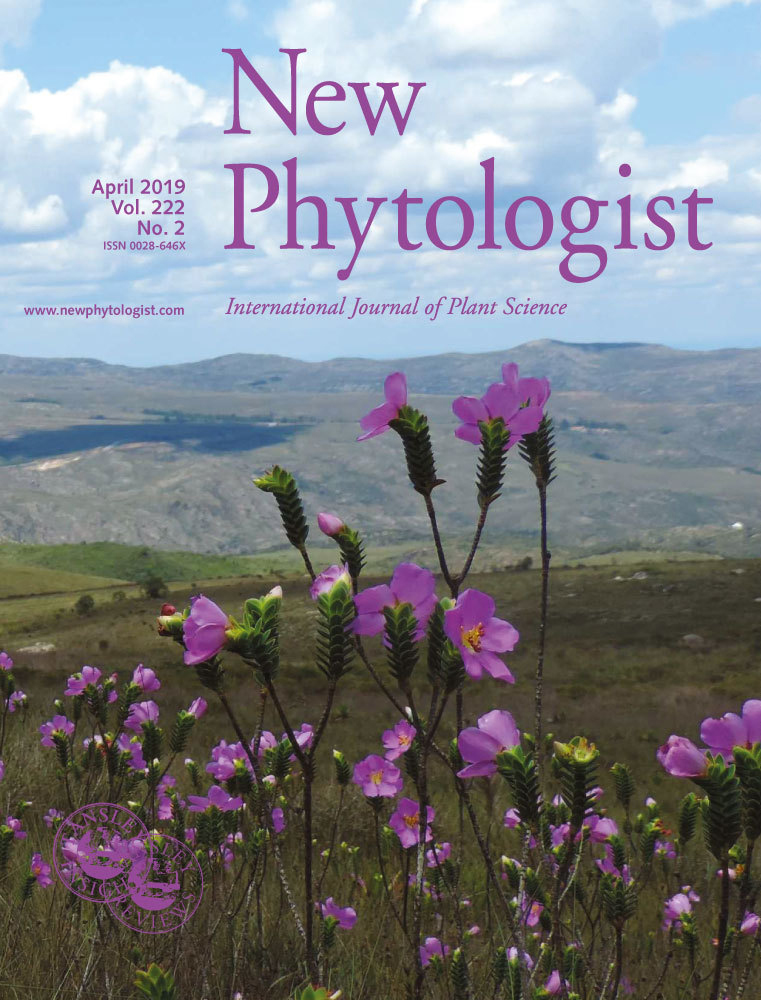 Cover of New Phytologist, featuring study using the protocol.