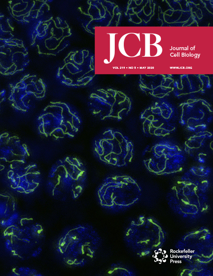 Cover of The Journal of Cell Biology, featuring study using the protocol.