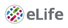 Cover of eLIFE, featuring study using the protocol.