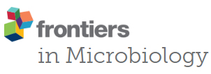Cover of Frontiers in Microbiology, featuring study using the protocol.