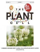 Cover of The Plant Cell, featuring study using the protocol.