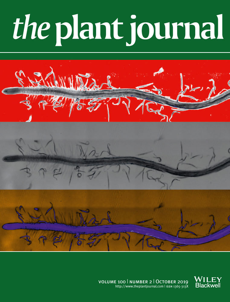 Cover of The Plant Journal, featuring study using the protocol.