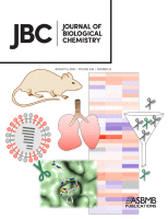Cover of The Journal of Biological Chemistry, featuring study using the protocol.
