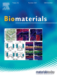 Cover of Biomaterials, featuring study using the protocol.