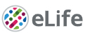 Cover of eLIFE, featuring study using the protocol.