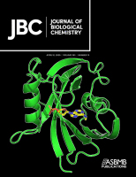 Cover of The Journal of Biological Chemistry, featuring study using the protocol.