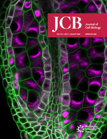 Cover of The Journal of Cell Biology, featuring study using the protocol.