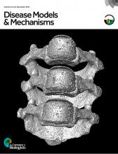 Cover of Molecular Plant, featuring study using the protocol.