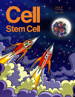 Cover of Cell Stem Cell, featuring study using the protocol.
