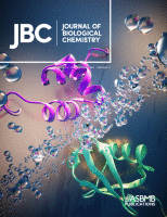 Cover of The Journal of Biological Chemistry, featuring study using the protocol.