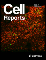 Cover of Cell Reports, featuring study using the protocol.