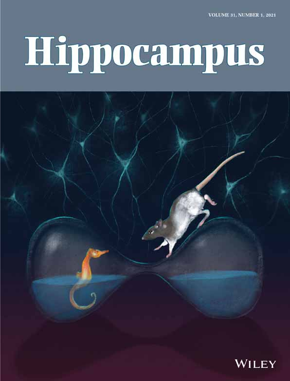 Cover of Hippocampus, featuring study using the protocol.