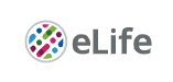 Cover of eLIFE, featuring study using the protocol.