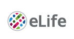 Cover of eLIFE, featuring study using the protocol.