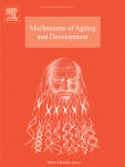 Cover of Mechanisms of Ageing and Development, featuring study using the protocol.