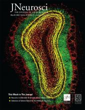 Cover of The Journal of Neuroscience, featuring study using the protocol.