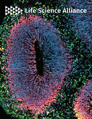 Cover of Life Science Alliance, featuring study using the protocol.