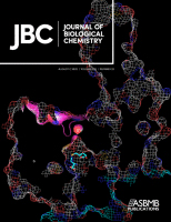 Cover of The Journal of Biological Chemistry, featuring study using the protocol.